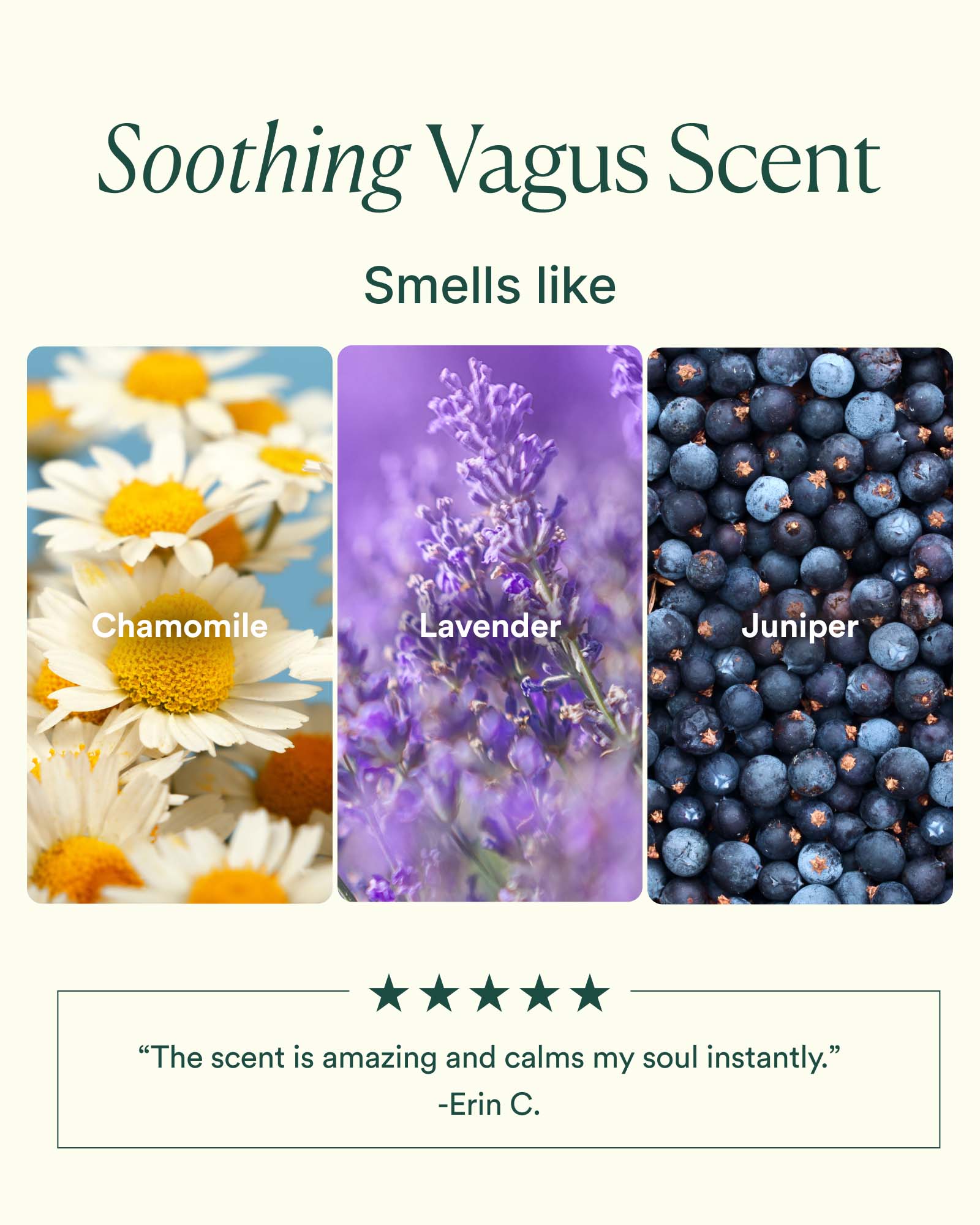 Vagus Nerve Oil