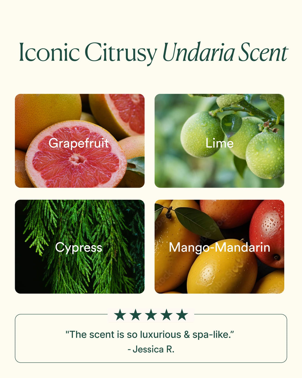 Undaria Cleansing Body Polish