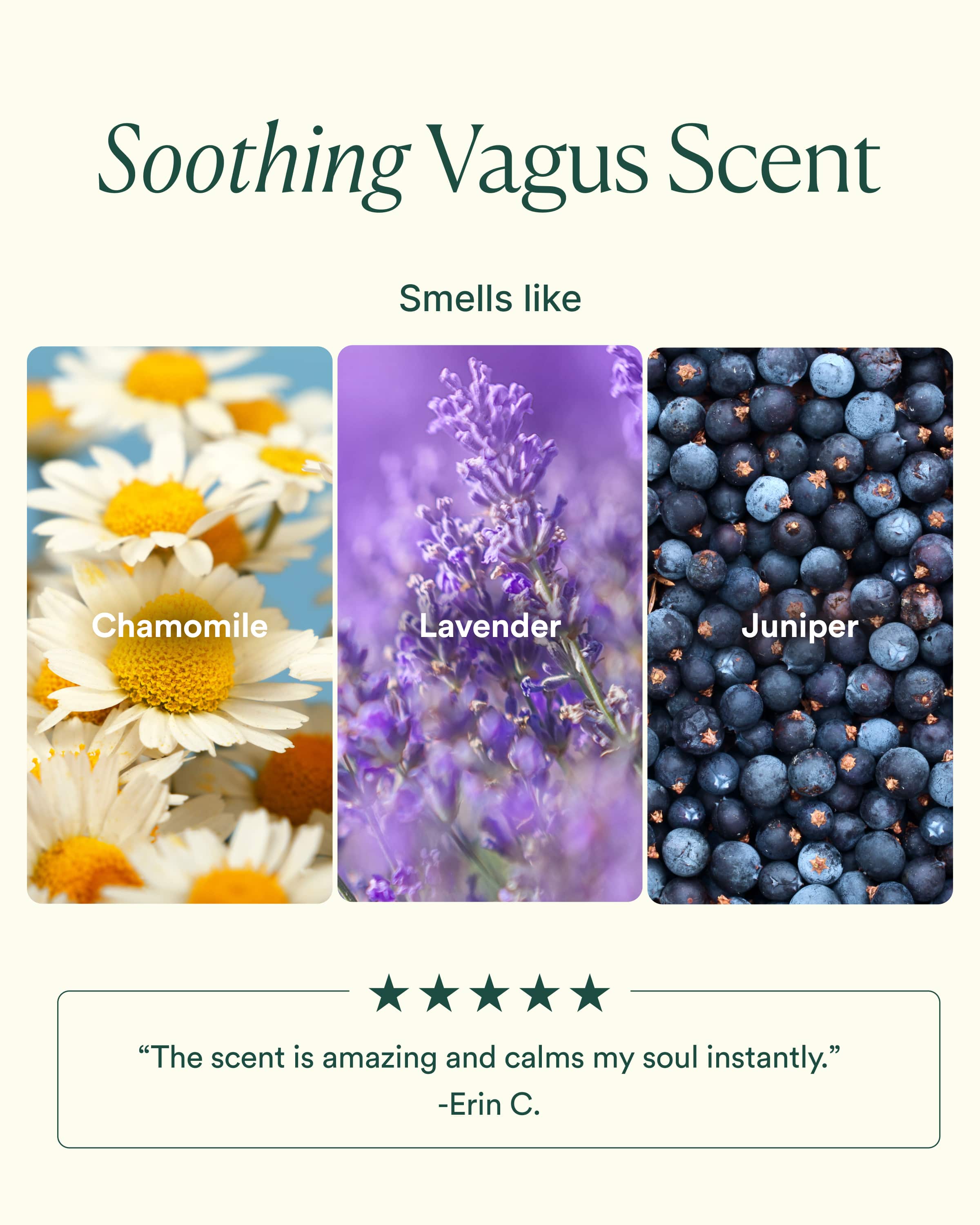 Vagus Nerve Trio