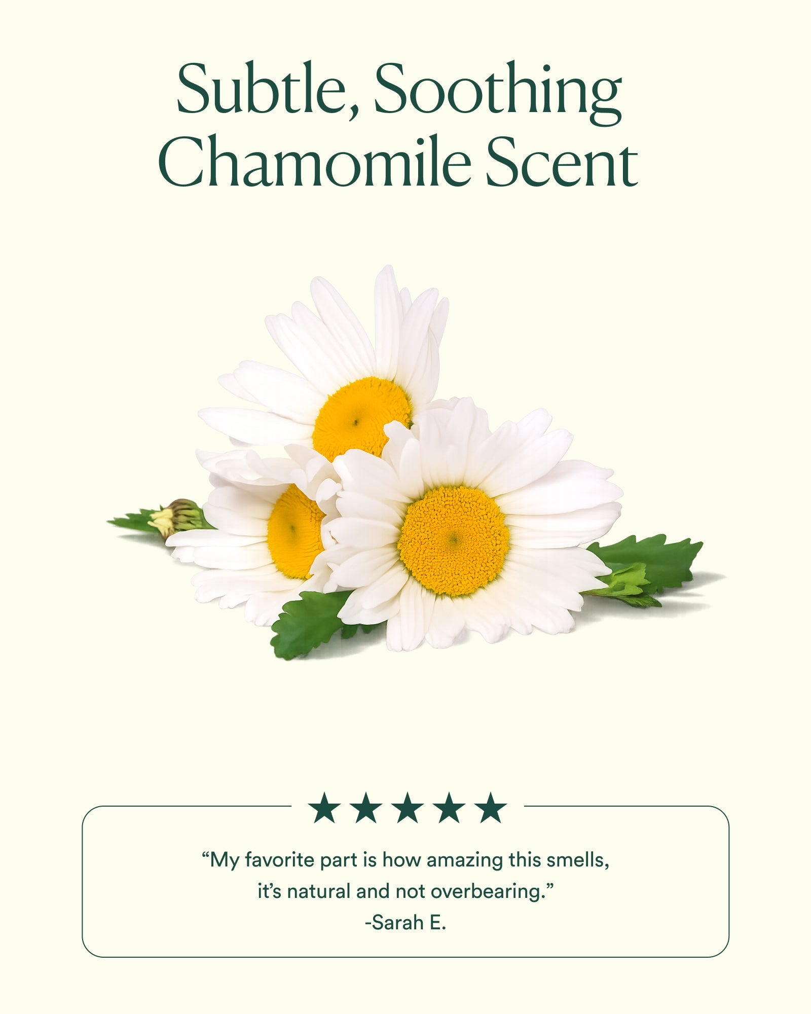 Dayglow Face Oil®