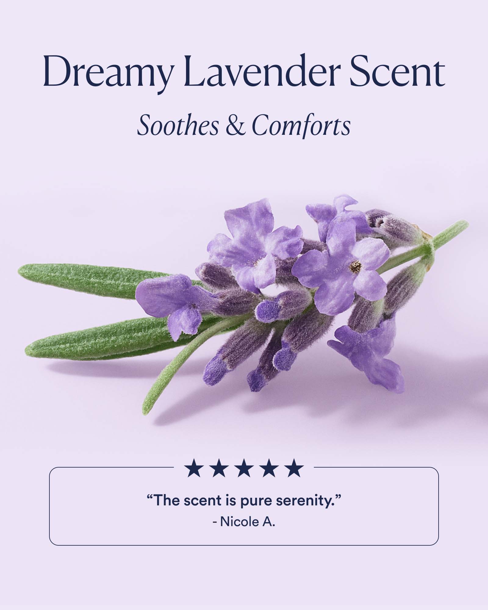Dream Night Serum with Bio-Retinol