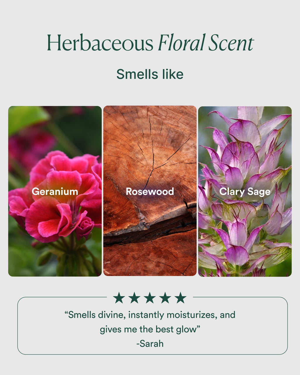 Essential Hydrating Oil