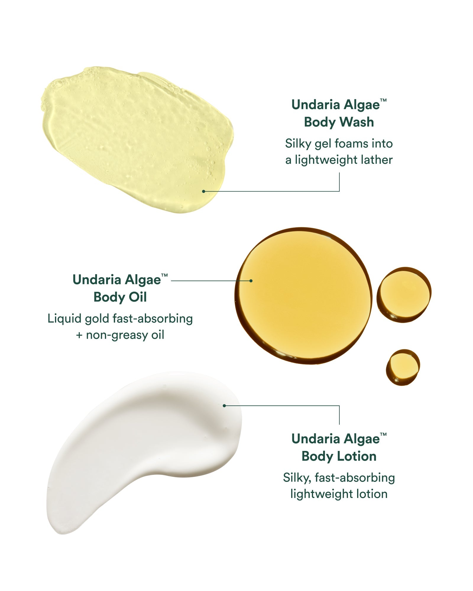 Undaria Body Glow Trio
