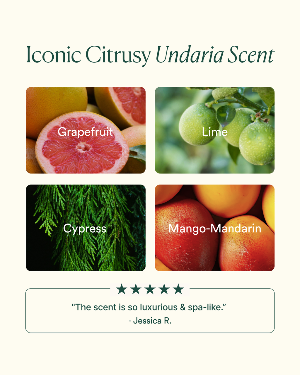 Undaria Body Glow Trio