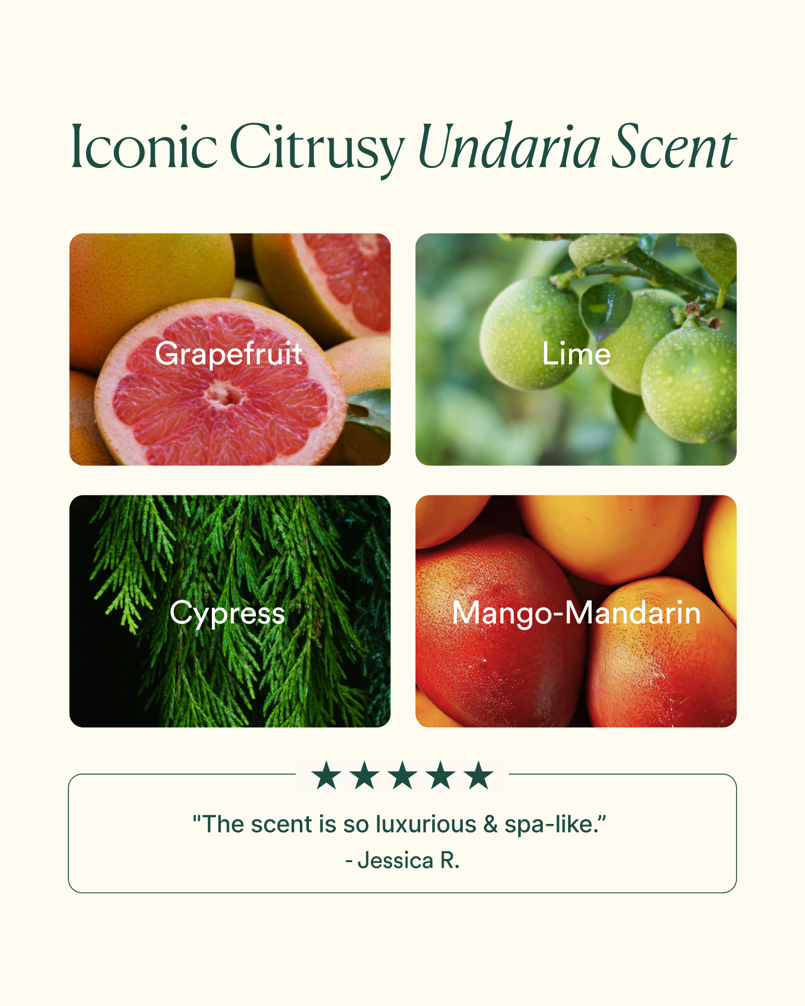 Undaria Body Glow Trio