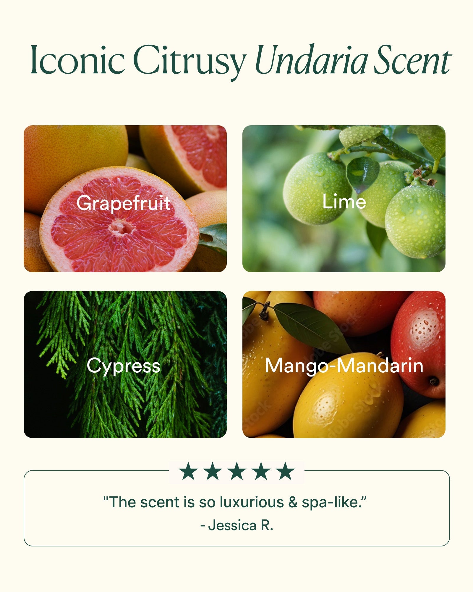 Free Gift - Undaria Algae™ Body Wash