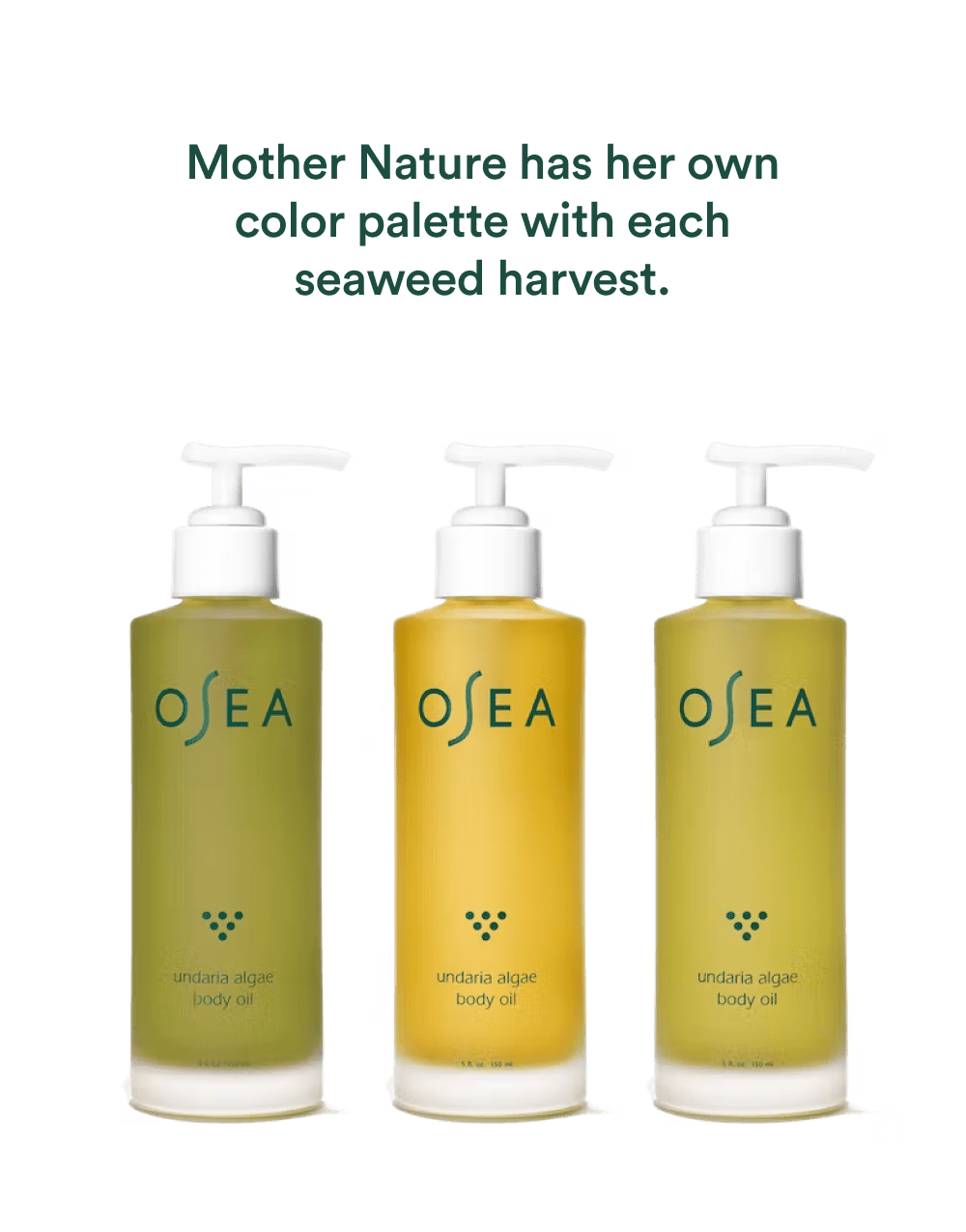 Undaria Algae™ Body Oil Fragrance Free