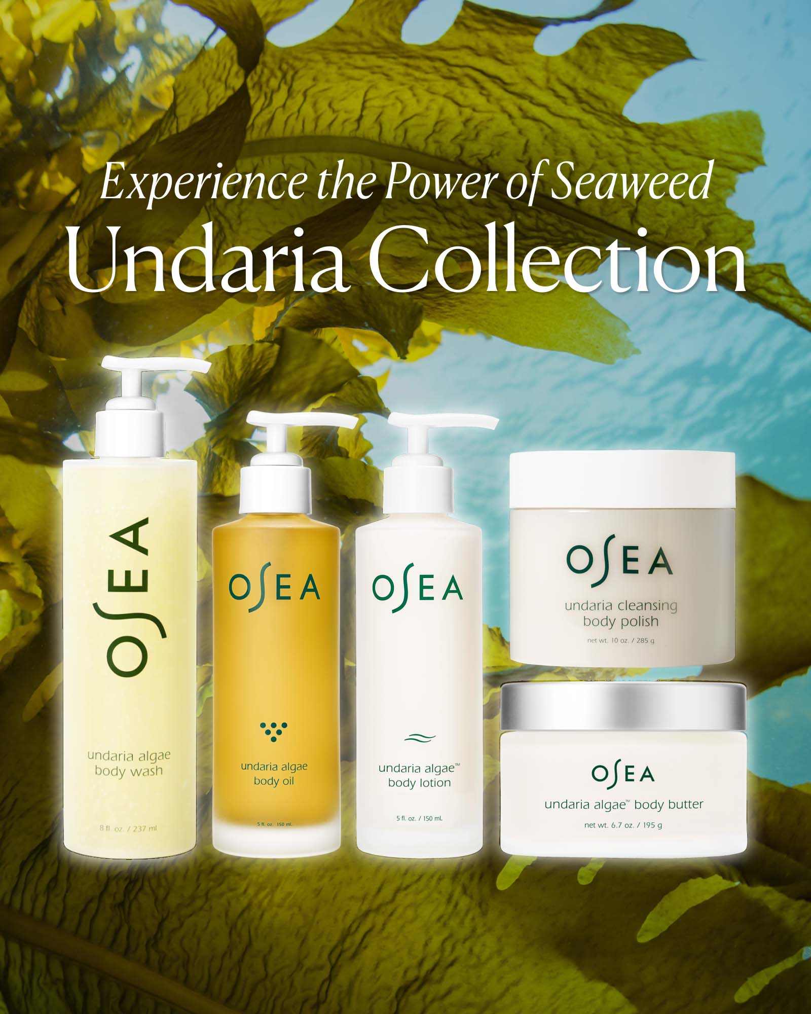 Undaria Algae™ Body Oil