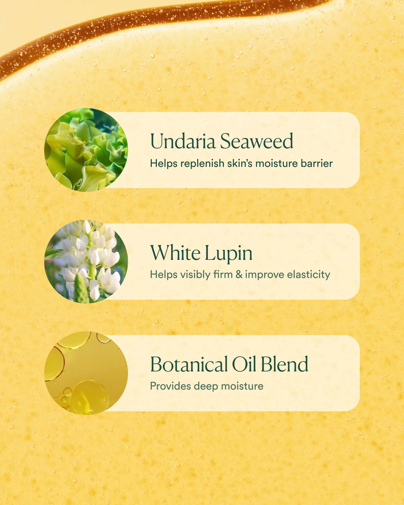 Undaria Algae™ Body Oil